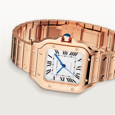 buy watches cartier|cartier catalogue watches.